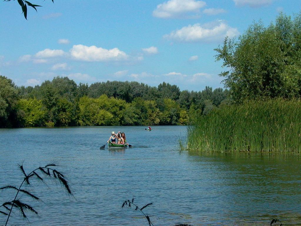Kormorán Vendégház Tiszafüred Szoba fotó